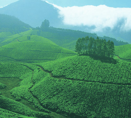 Green Kerala