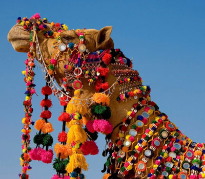 Gujarat Overview