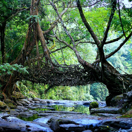Meghalaya