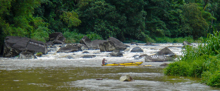Kitugala Forest Reserve