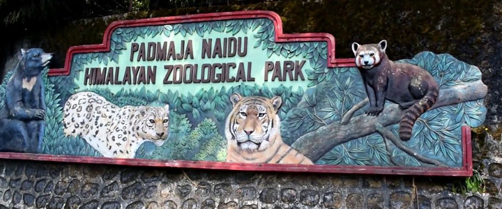 Padmaja Naidu Himalayan Zoological Park