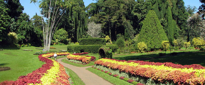 Peradeniya Gardens