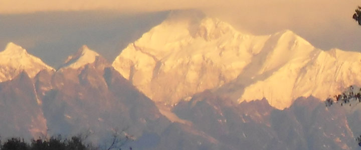 Rameetay Dhara