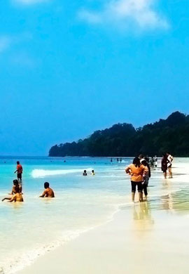 Beach Tour