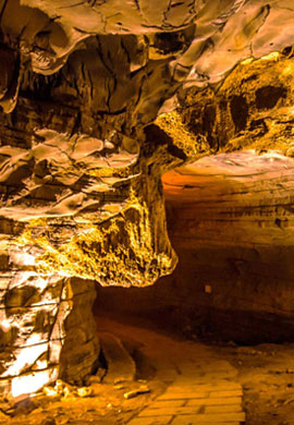 Cave Exploration
