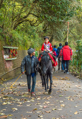 Pony Riding