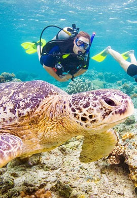 Scuba Diving