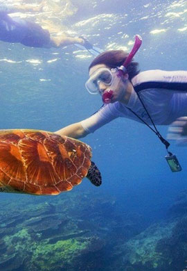Snorkeling