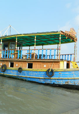 Steamer Ride 
