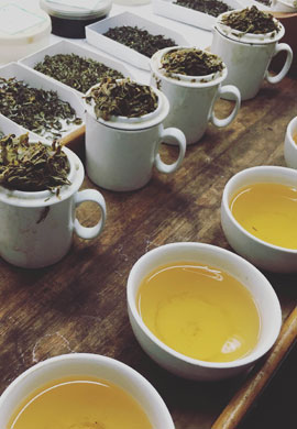 Tea Tasting