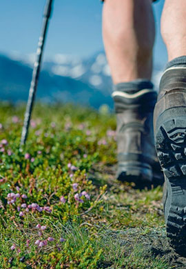 Trekking